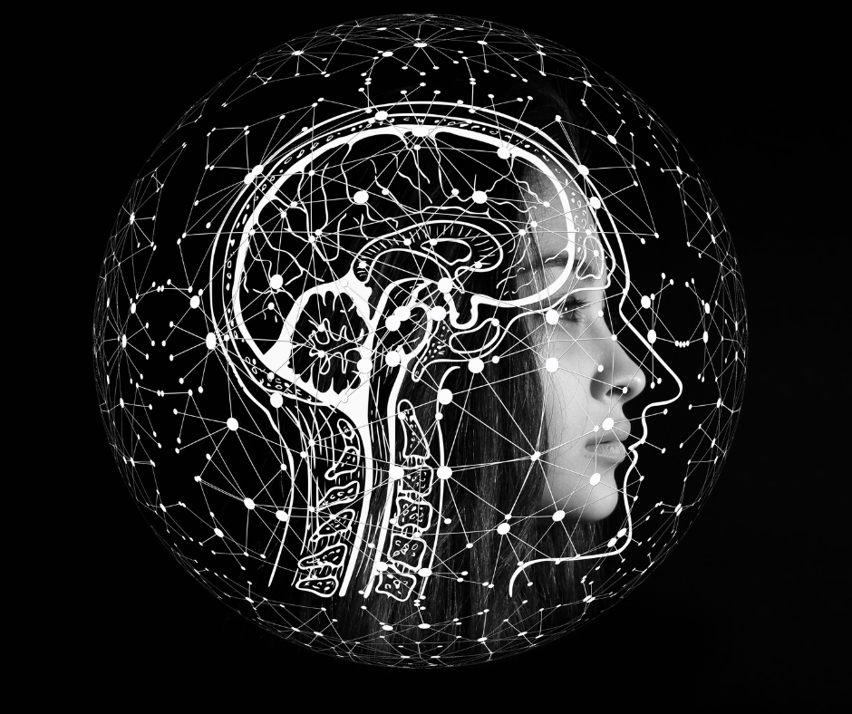 Image of head and face with all the brain stems highlighted